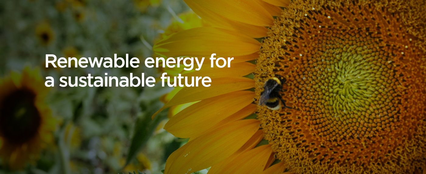 Biodiesel & Renewable Energy